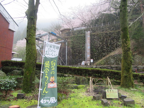 マイントピア別子も桜満開…2017/4/7_f0231709_221758.jpg