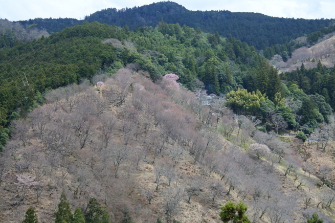 f0297809_21155584.jpg