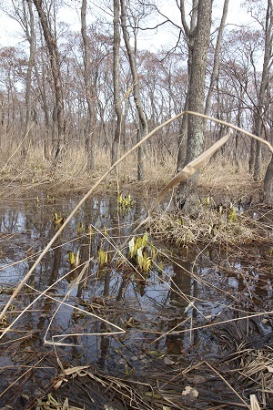 c0200413_13443802.jpg