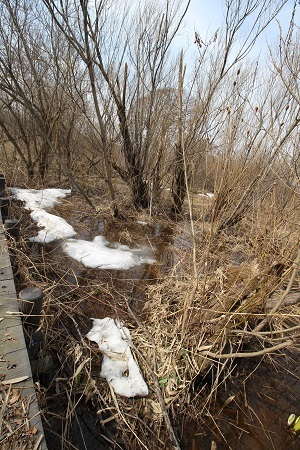 c0200413_13474805.jpg
