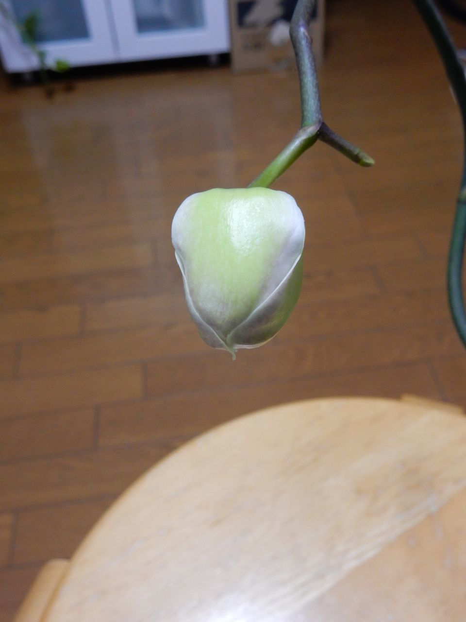 南南東の風冷たく強し_c0025115_21015936.jpg