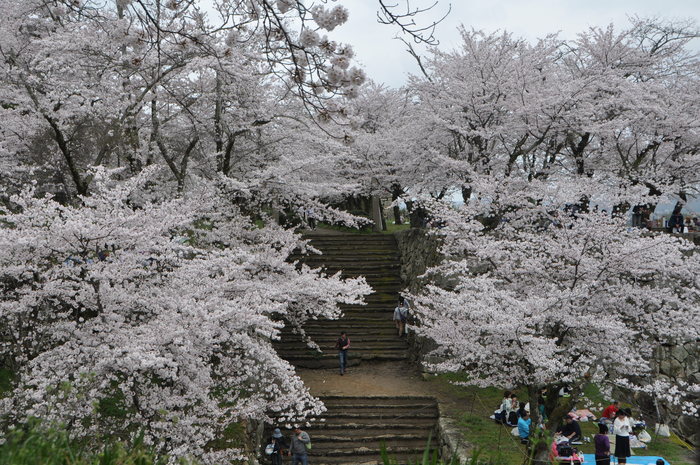 f0053218_19583761.jpg