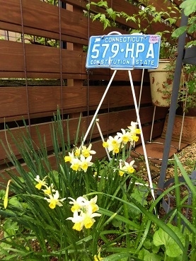 c0204121_20385037.jpg