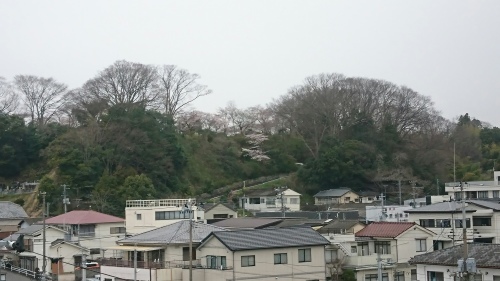 e0163523_11385959.jpg