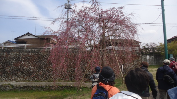 b0057924_17014050.jpg