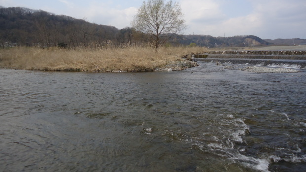 b0057924_17095249.jpg
