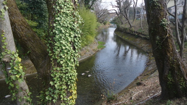 b0057924_17161133.jpg