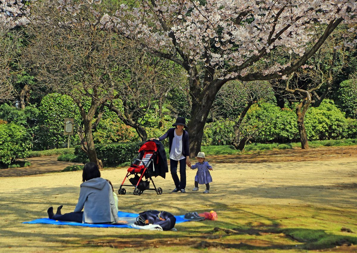 さくらのある風景_c0104227_20210361.jpg