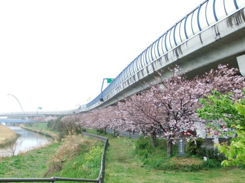 b0137932_16350161.jpg