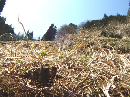 c0353632_17450015.jpg