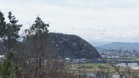 e0166734_19575551.jpg