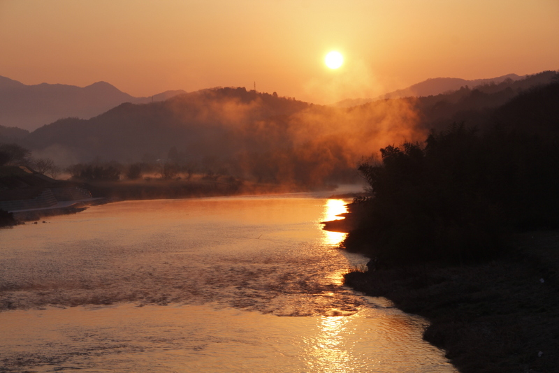 円山川・桜咲く_d0184337_13304211.jpg