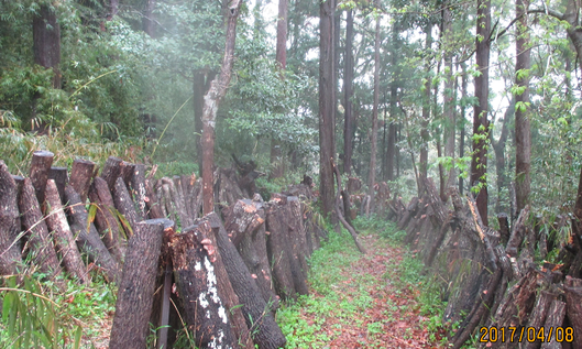 a0051539_204271.png