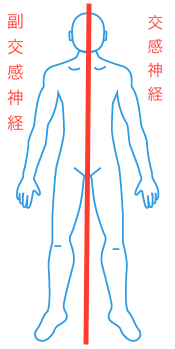 足の痛みは十二指腸から？ 〜ある日の施術より〜_e0073240_07291549.jpg