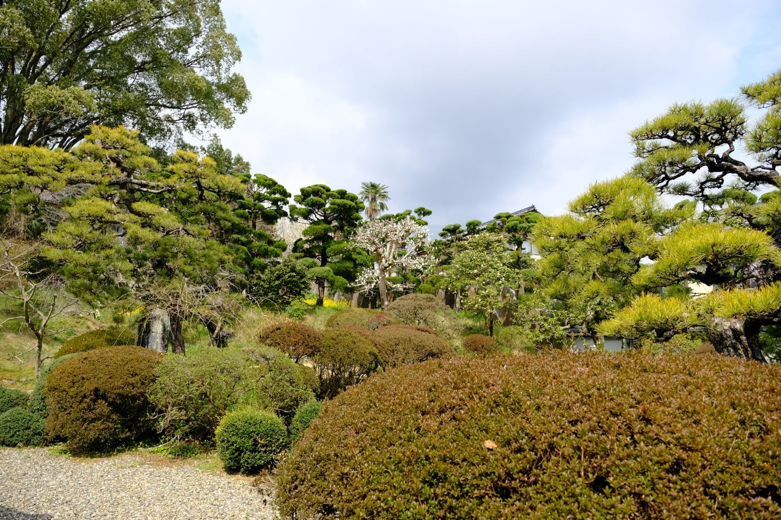 重要文化財 【本芳我家住宅】 画像_b0212342_11433412.jpg