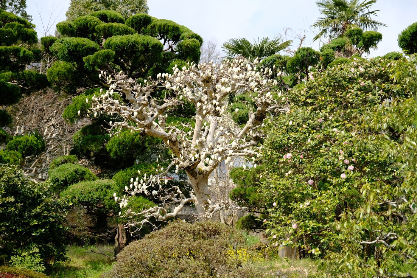 重要文化財 【本芳我家住宅】 画像_b0212342_11434771.jpg