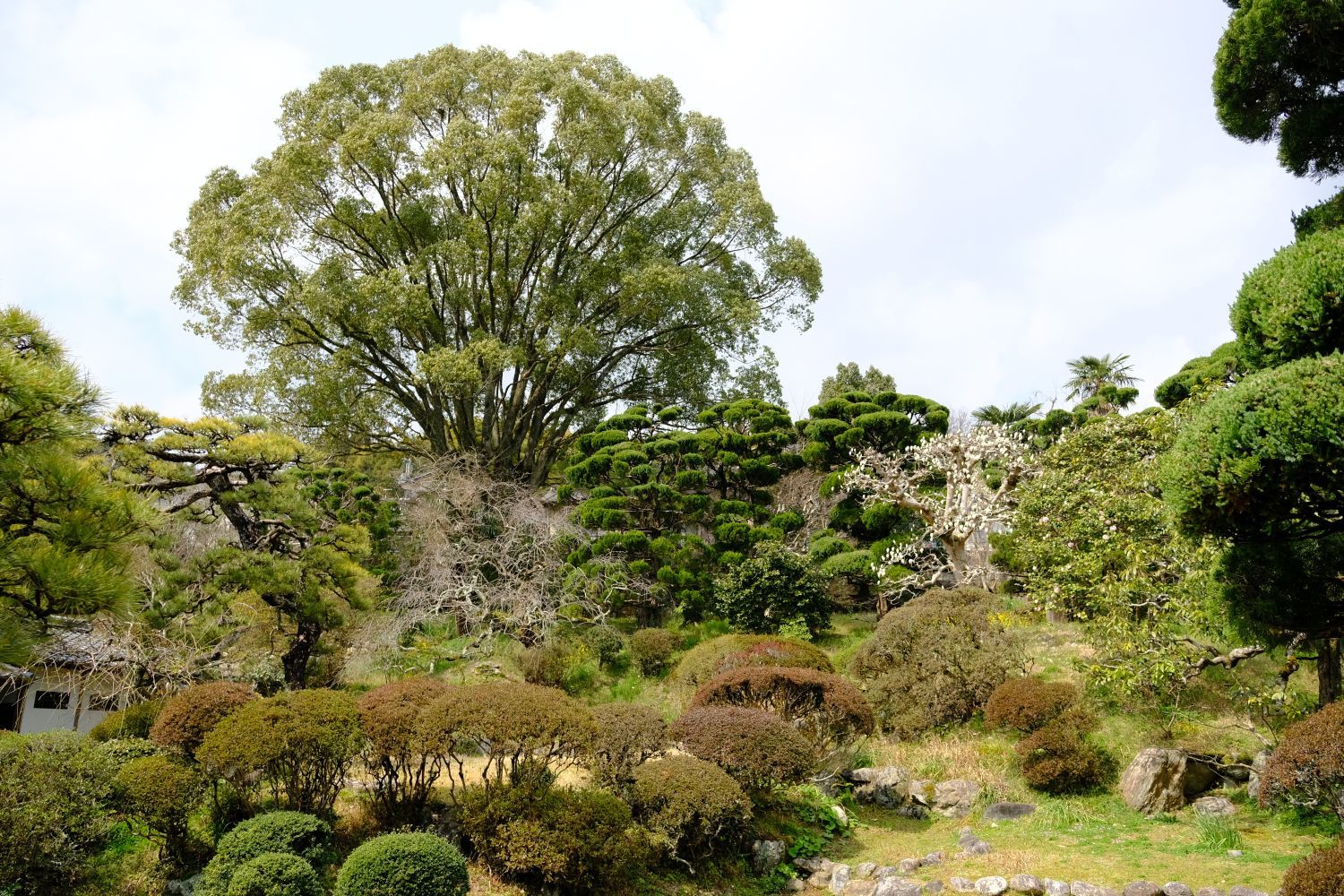 重要文化財 【本芳我家住宅】 画像_b0212342_11435120.jpg