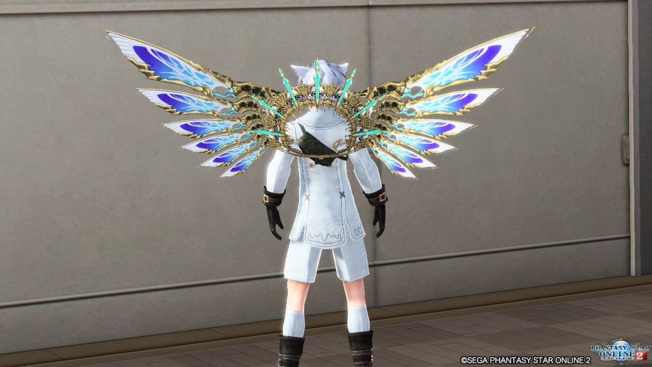 PSO2　テーマSS「翼」_c0150342_00023044.jpg