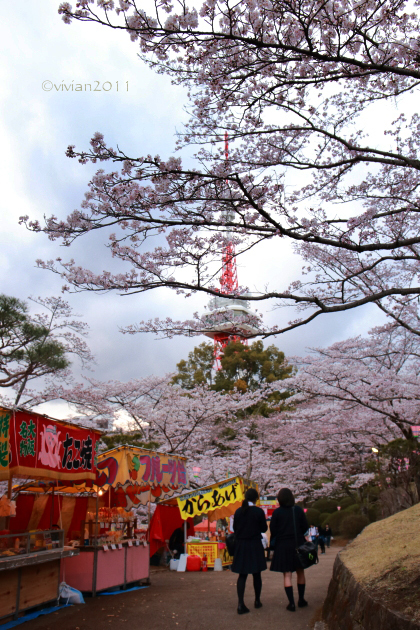 夜桜見物 in 八幡山公園_e0227942_21342179.jpg
