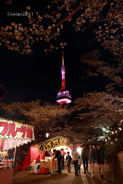 夜桜見物 in 八幡山公園_e0227942_21443638.jpg