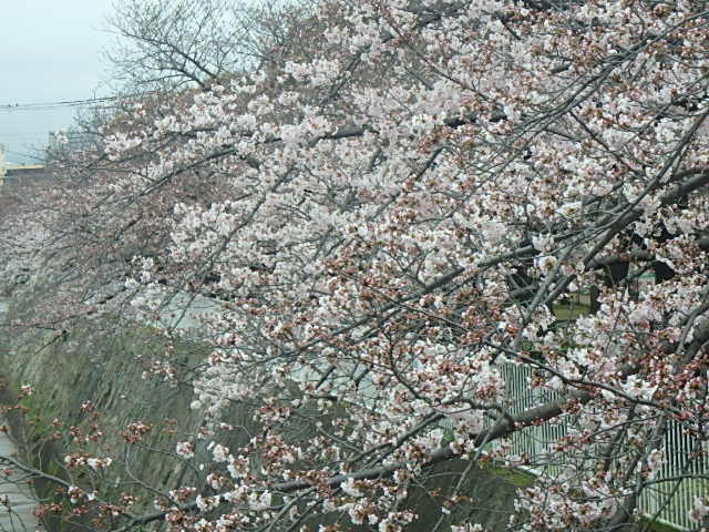 f0334143_7424982.jpg