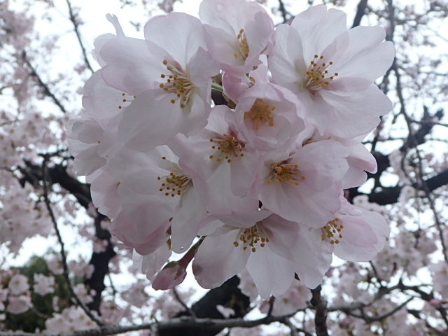 f0334143_74318.jpg