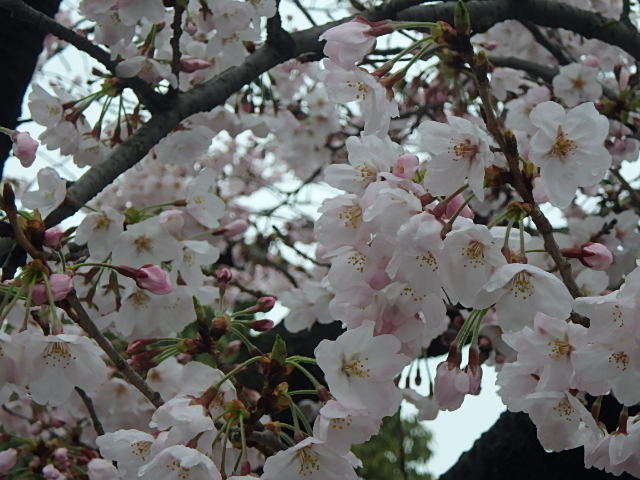 f0334143_743857.jpg