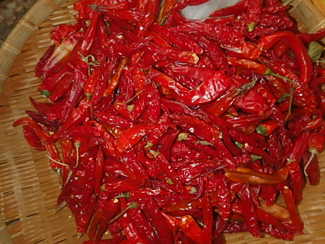 f0334143_7481756.jpg