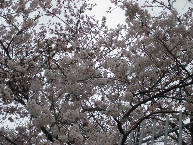 a0307846_09122080.jpg