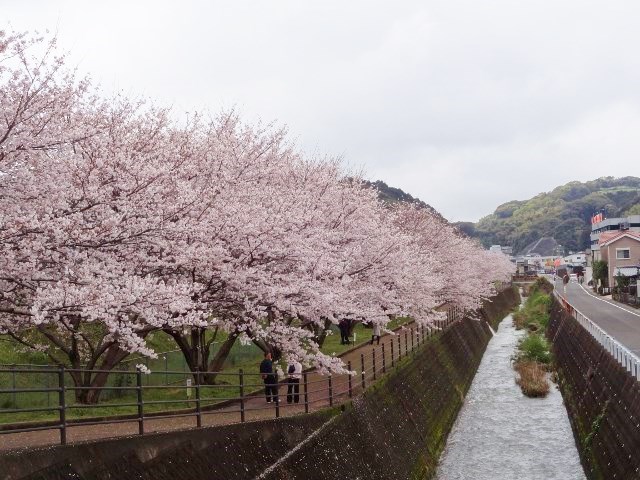 b0181748_18424739.jpg
