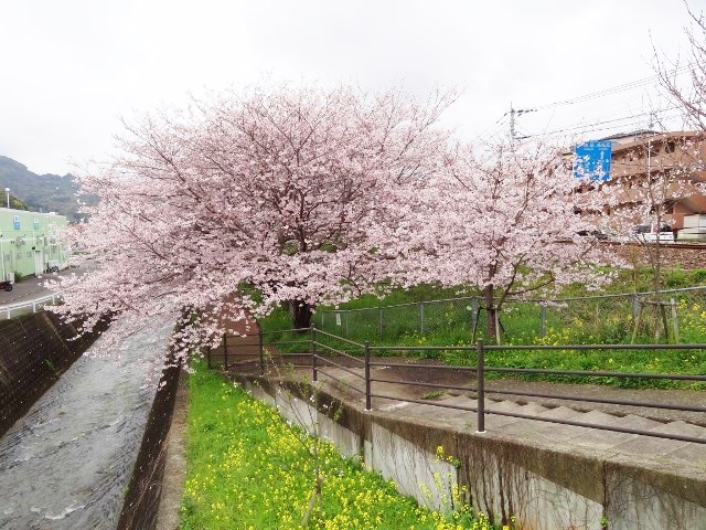 b0181748_18431747.jpg