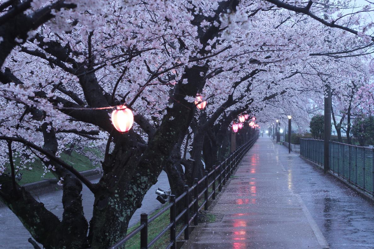 東京教室のお稽古_b0299052_19460361.jpg