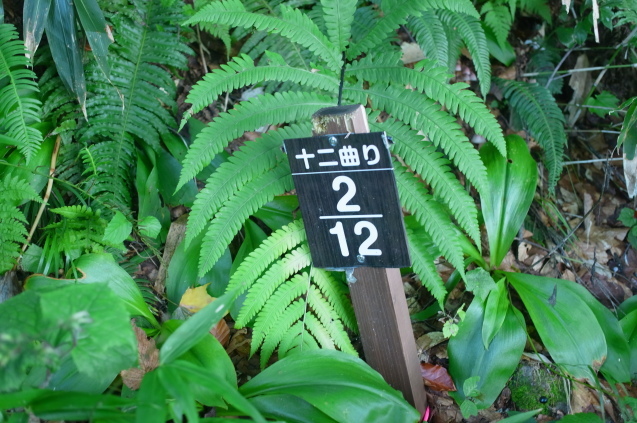 a0288155_00433050.jpg