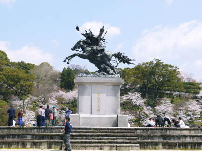 菊池神社、平成29年の菊池公園の桜の見ごろは明日(4月8日)です! 桜photoコレクション 2017_a0254656_18264339.jpg