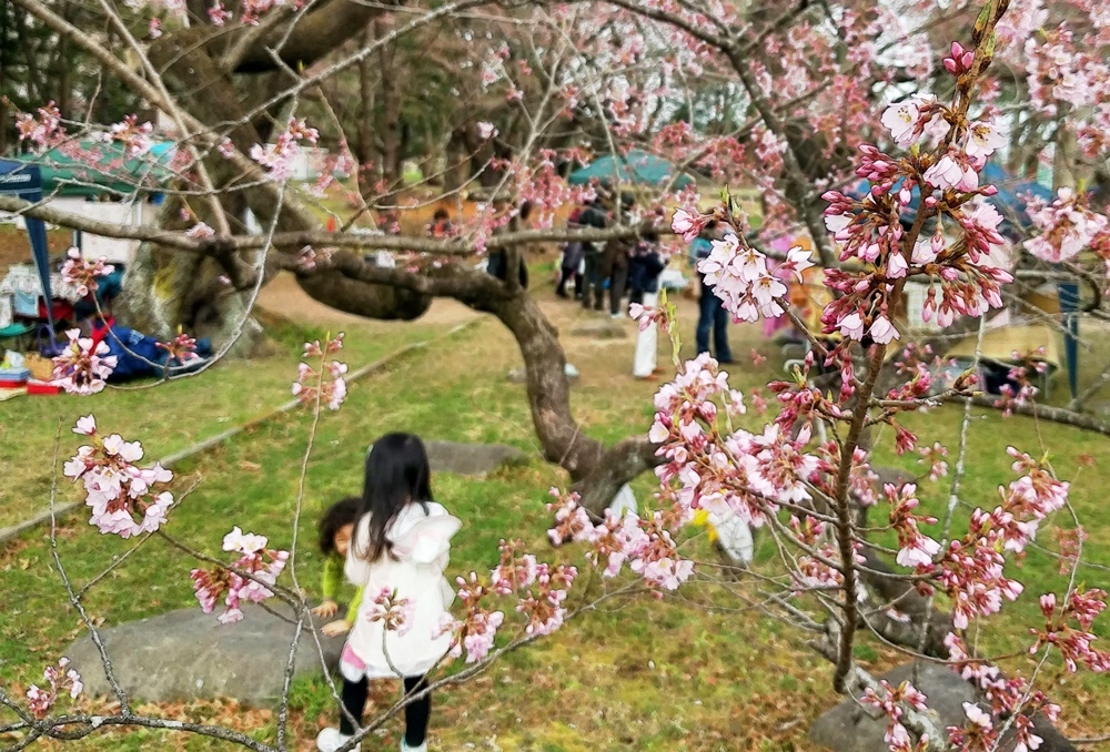 お薬師さんの手づくり市　陸奥国分寺_d0039059_21424834.jpg