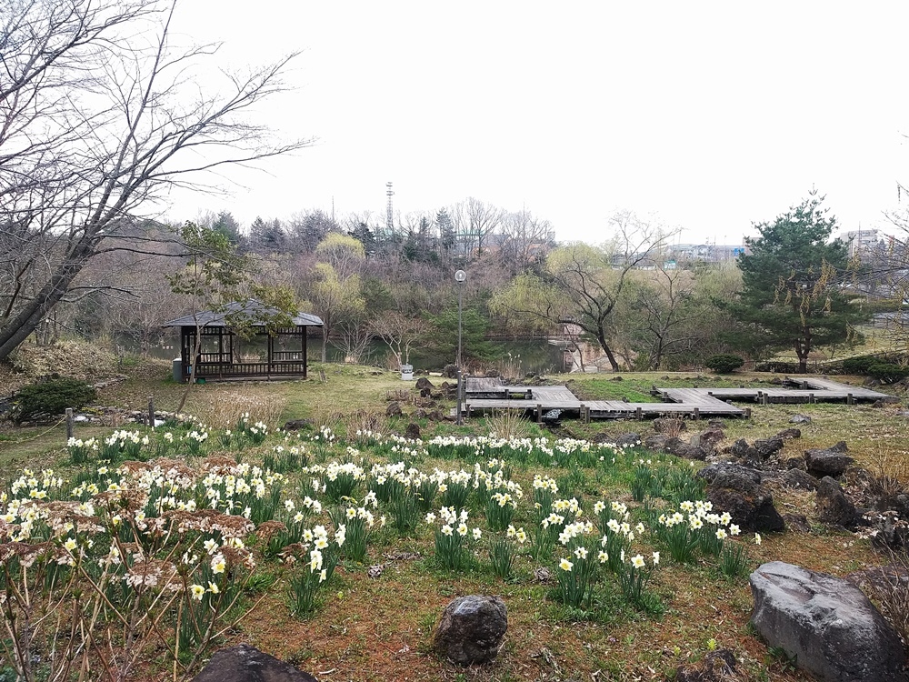 お薬師さんの手づくり市　陸奥国分寺_d0039059_22071390.jpg