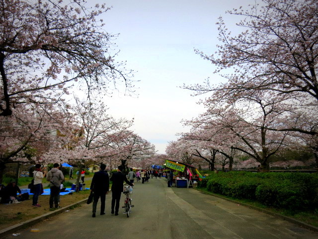 2017・お花見ランチ＊帝国ホテル大阪・レ セゾンの桜ランチ♪_f0236260_10490547.jpg