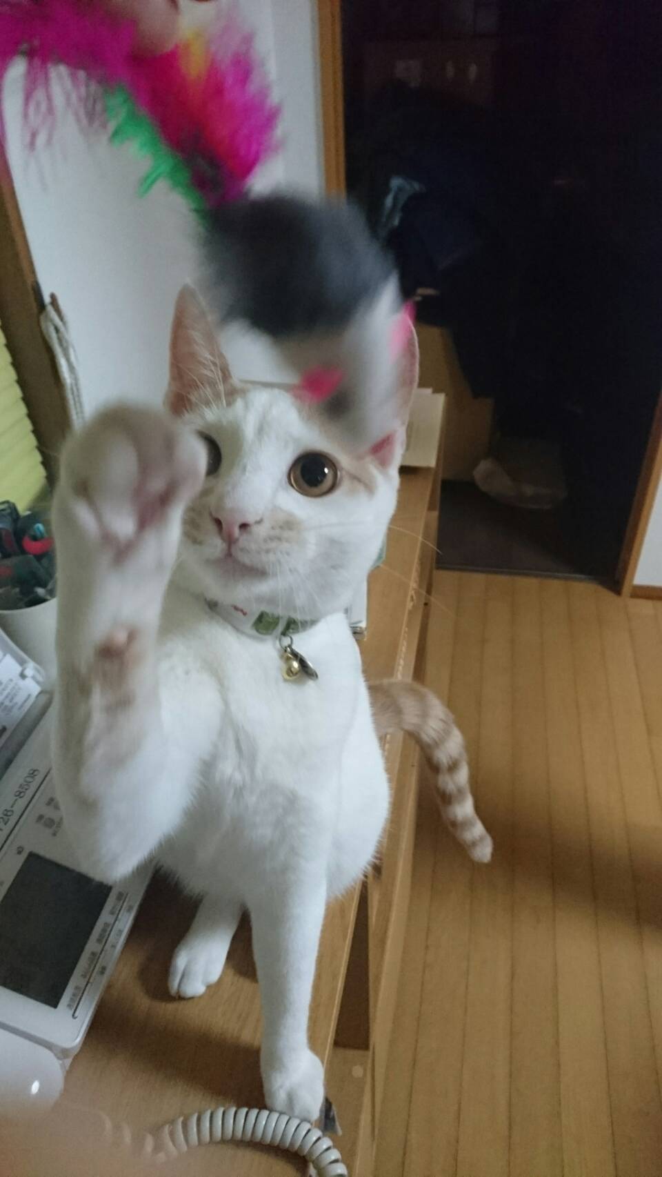 マイクと源太_e0367571_23352171.jpg