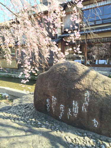 桜・桜春爛漫_e0326573_14460537.jpg