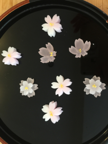 桜・桜春爛漫_e0326573_14460796.jpg