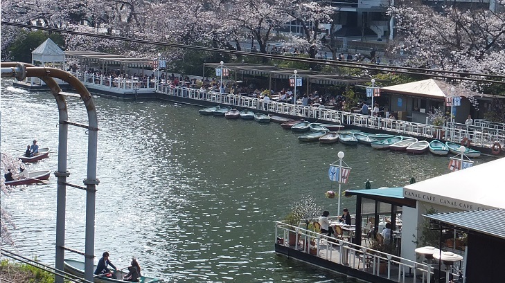 東京駅から花見散歩　③_a0203674_10273326.jpg