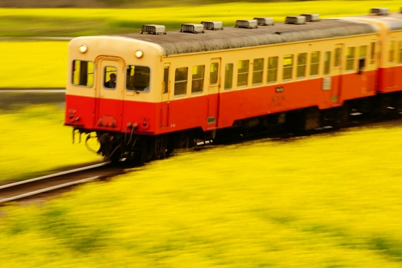 小湊鉄道、いすみ鉄道_d0341483_17245249.jpg