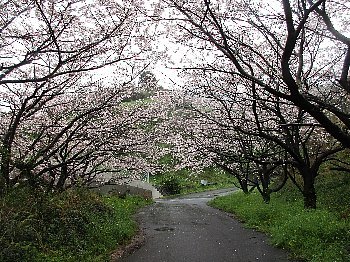 ４月７日「自治会長会」_f0003283_10243403.jpg