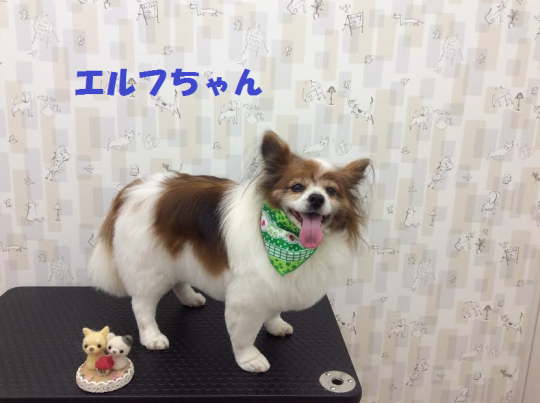 c0315684_15552448.png