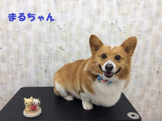 c0315684_16094570.png