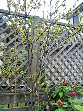 c0117898_17260001.jpg