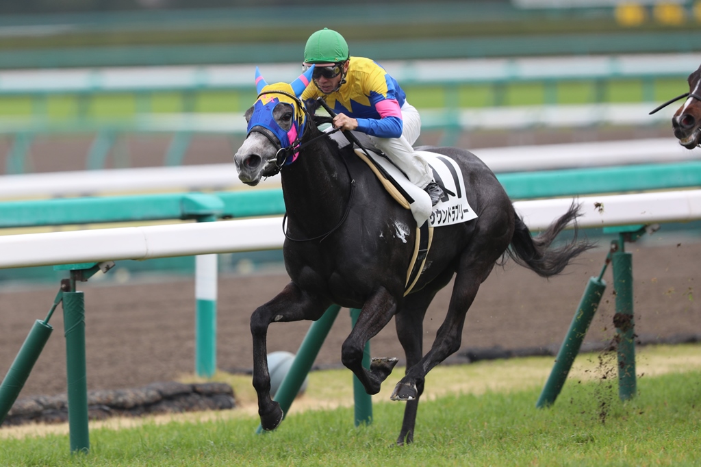 2017年4月8日 阪神牝馬S(GⅡ)_f0204898_21592065.jpg