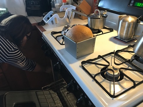 e0359604_11370595.jpeg