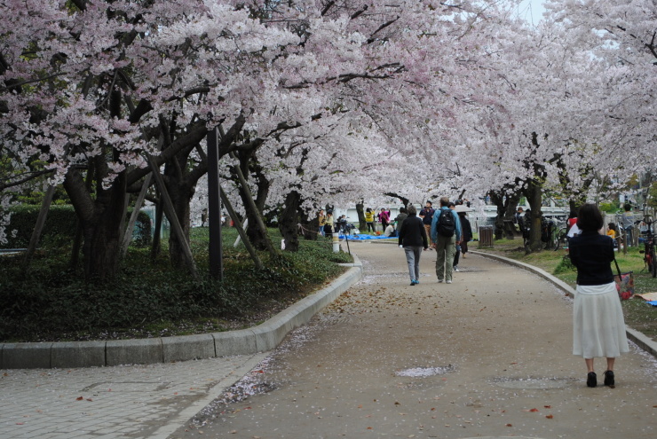 平和公園の桜_f0361605_20373627.jpg