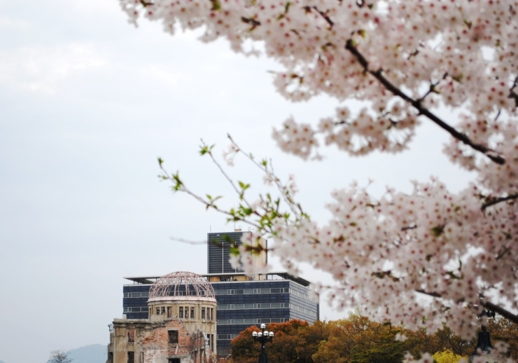 平和公園の桜_f0361605_20385613.jpg